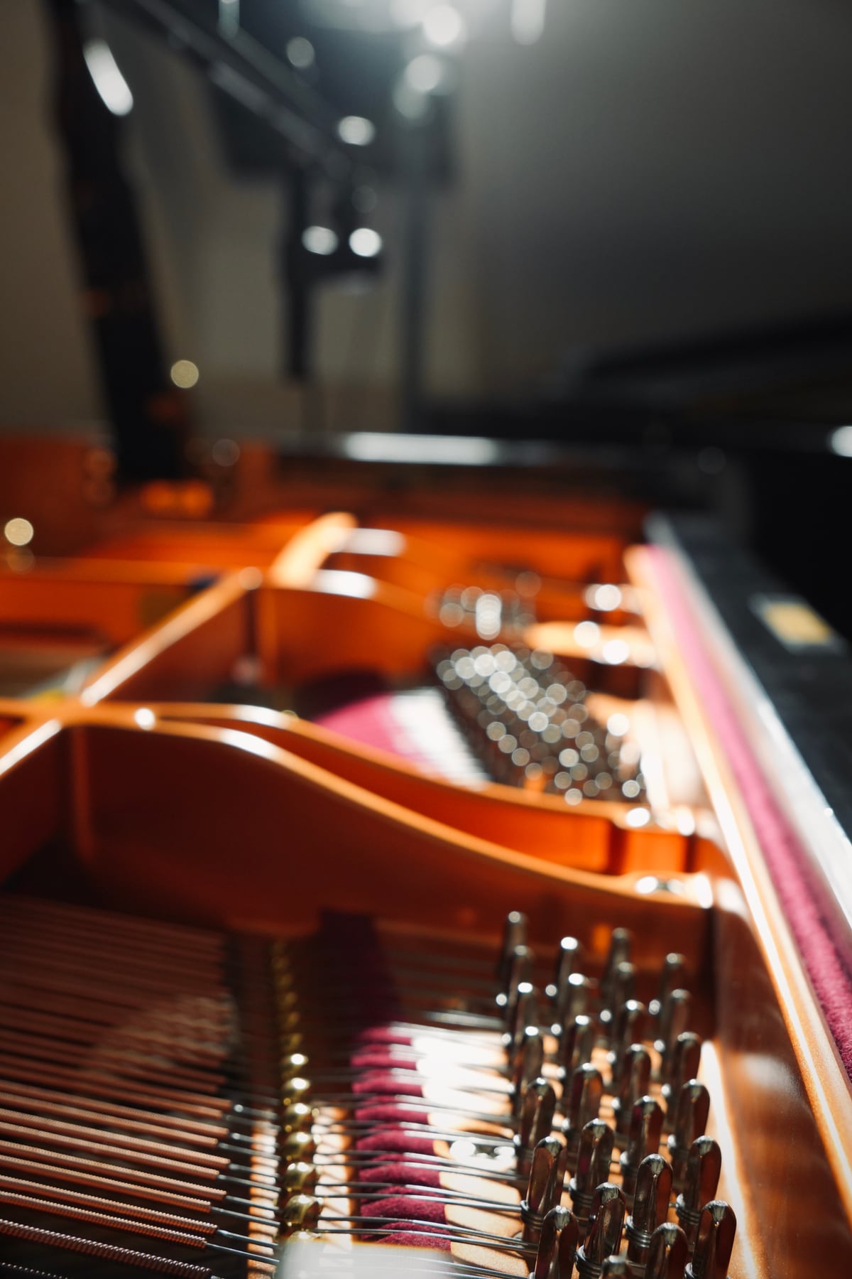Dettaglio delle corde e del piano armonico di un pianoforte a coda
